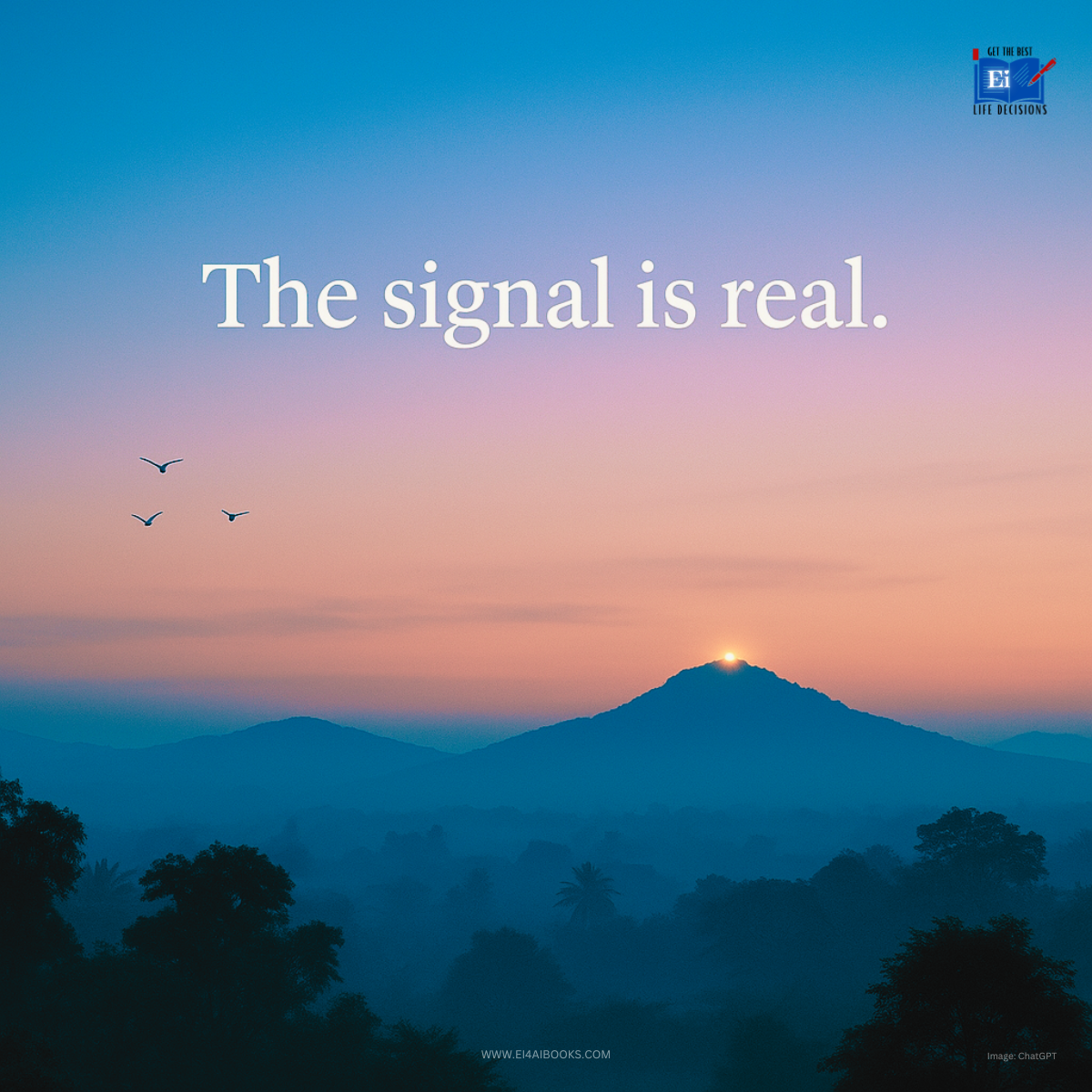 Look for Signals-
